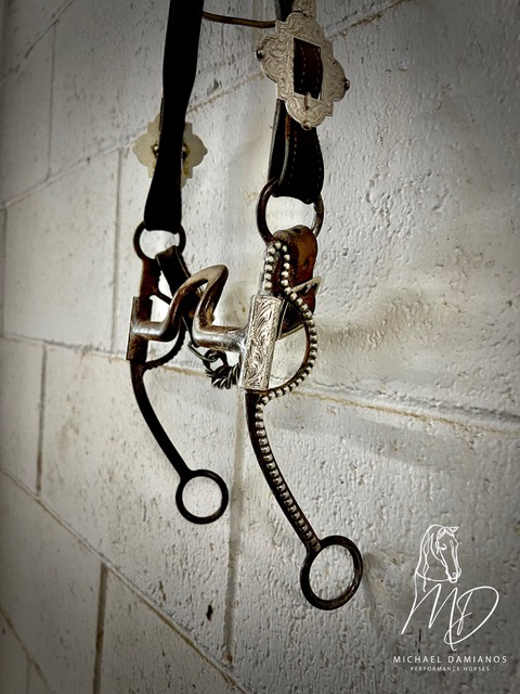 The Ranch Horse Class bit