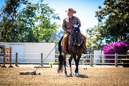 The Ranch Horse Class