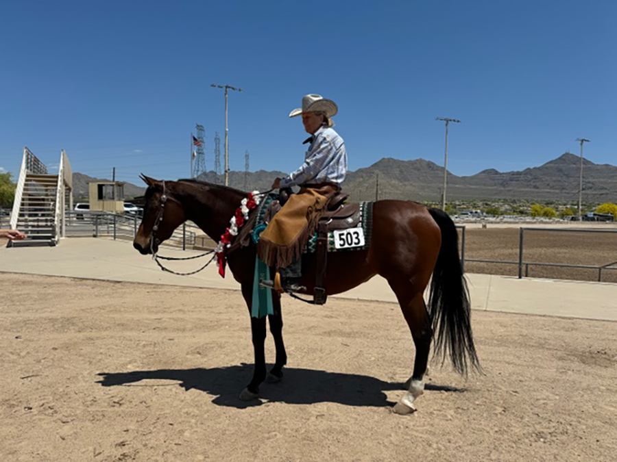 Ingrid Bentzen's mare NSPIRING FORTHE TOP (Nobles Top Gun x Nspiring Jazz) is a National Champion in Arabian Ranch 