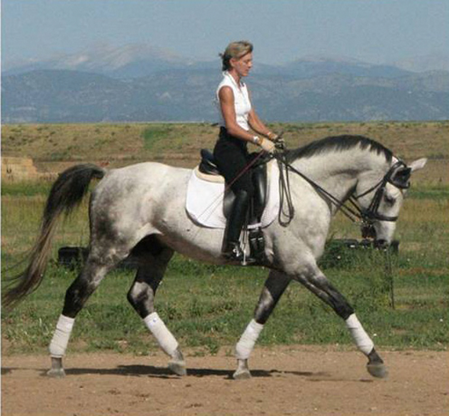 Liebreiz (Krusader x Leisure Lass), 1996 U.S. Trakehner stallion tracing to Primo-Parole through his maternal granddam.