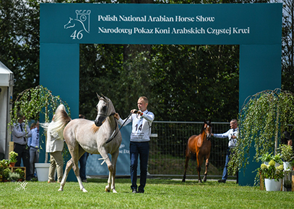 2024 Polish National Arabian Horse Show and ...