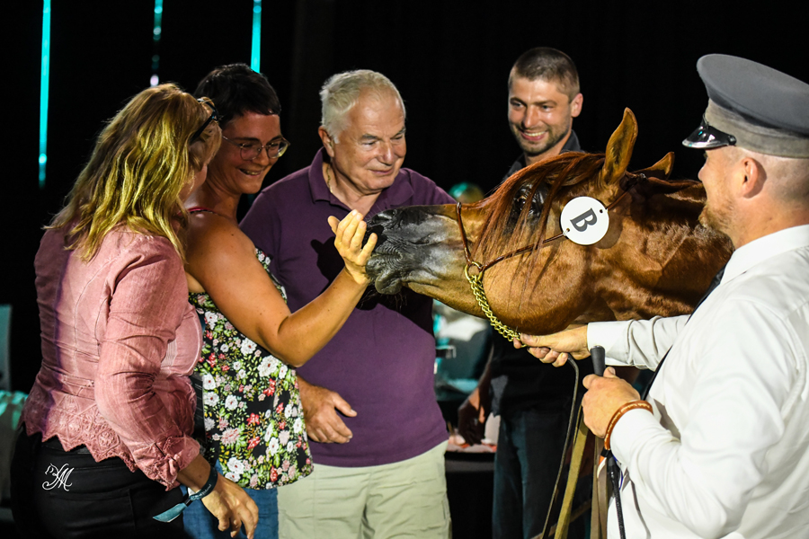 71 years old Marjan Vrančič attended Polish Arabian Horse Days with his wife, son and daughter in-law from Slovenia.