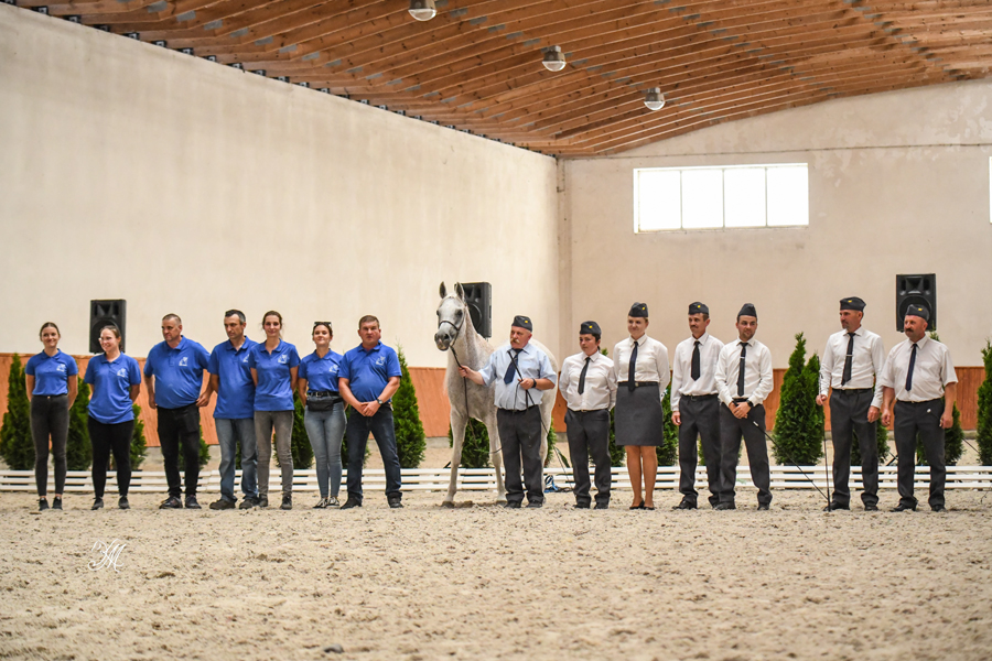 On Tuesday, Polish Arabian Horse Days made it to Michałów State Stud where everyone was warmly welcomed by Director Monika Słowik and special advisor former Director Jerzy Białobok with a delicious lunch, and, of course, a breeding parade. 48 stallions, colts, fillies and mares with foals were presented. The finale was the reigning queen of Michałów and multiple World Champion Emandoria (Gazal Al Shaqab x Emanda by Ecaho). She was then joined by staff of Michałów to a standing ovation.