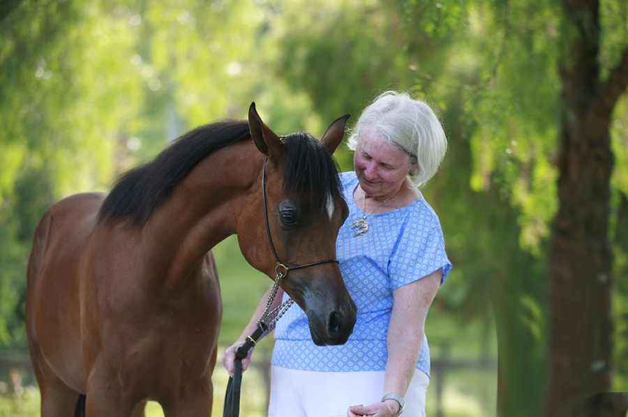 Al Noor Miralina (Om El Maximus x Balajka V), bred and owned by Sherry Conrads.