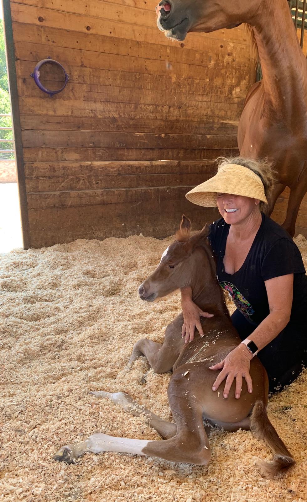 Imprinting the Laughing Dog Ranch Way, by ...