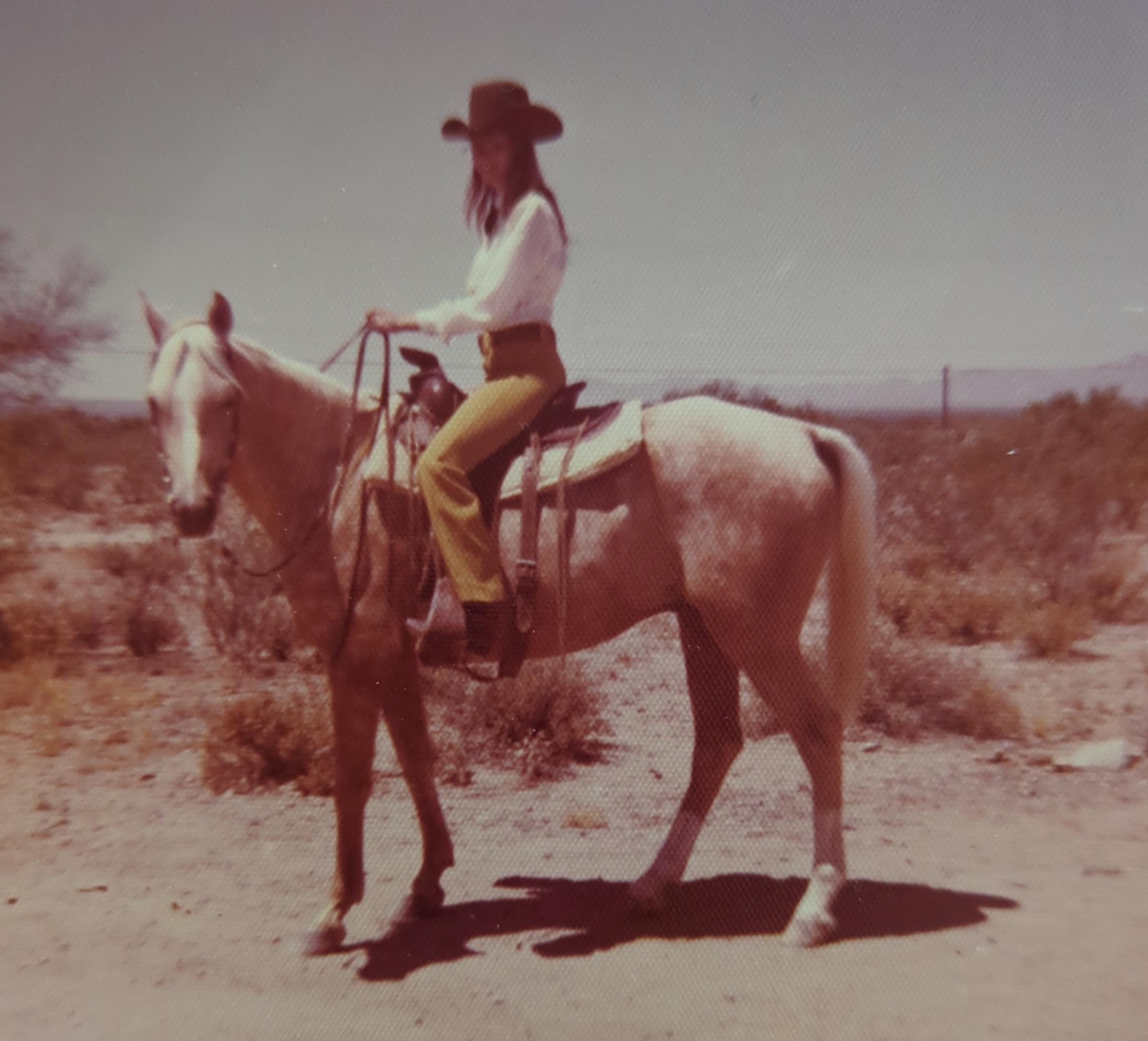 The Horse's Gift – Helping Us Through the ...