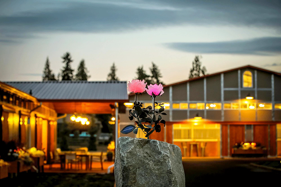 barns with rose