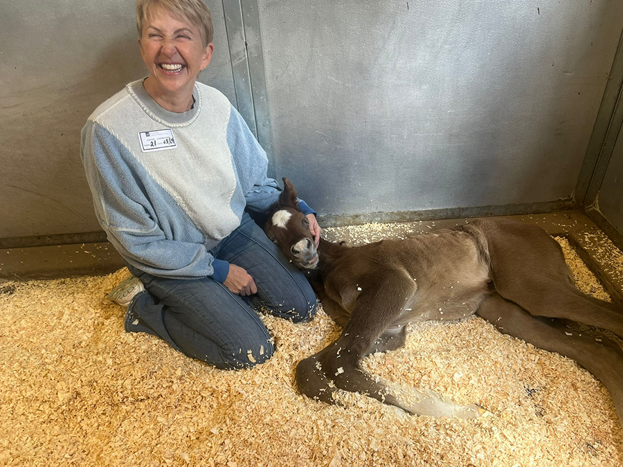 kim and new born foal laying in stall