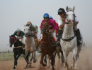 photo race dezful chalderan rt