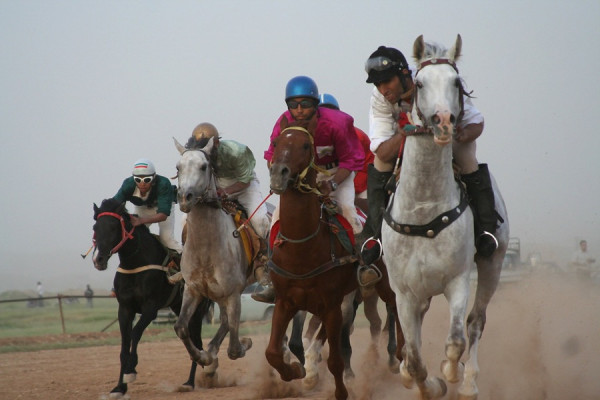 photo race dezful chalderan rt