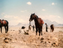 photo3 lucntime in yazd